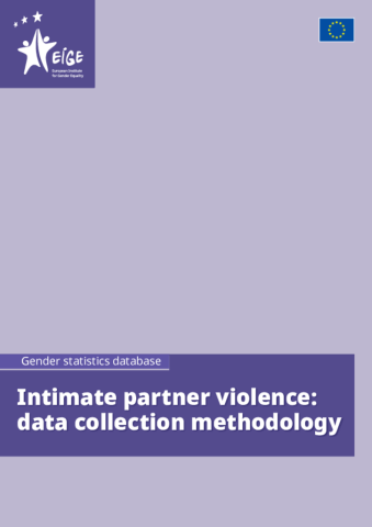 Intimate partner violence: data collection methodology