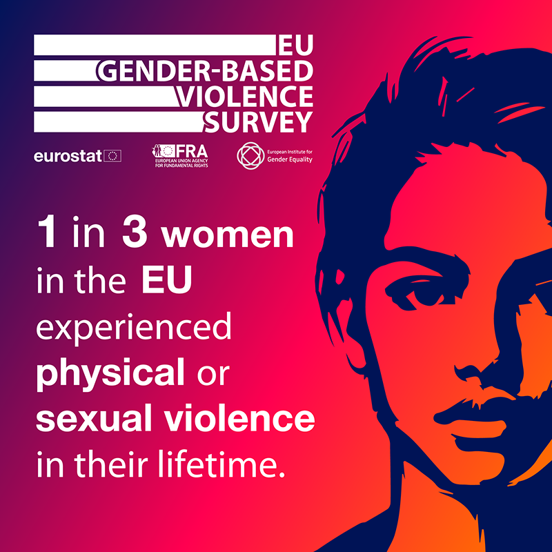 1 in 3 women in the EU experienced physical or sexual violence in their lifetime.