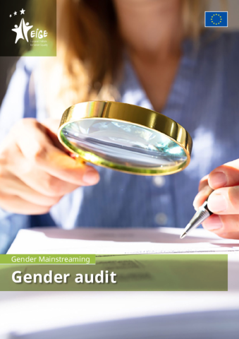  Gender mainstreaming: gender audit