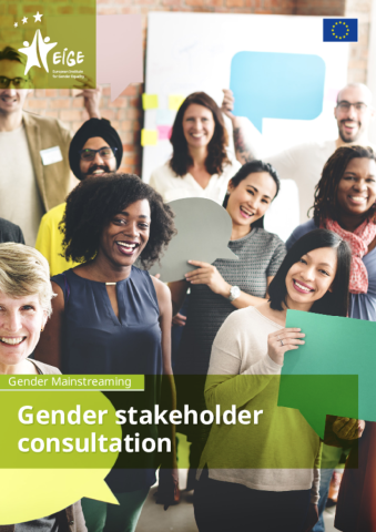 Gender mainstreaming: gender stakeholder consultation