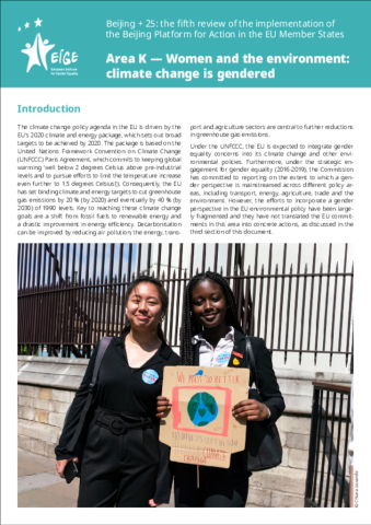 Beijing +25 policy brief: Area K - Women and the environment: climate change is gendered