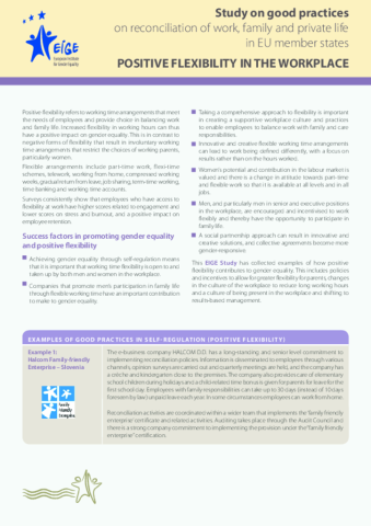 Factsheet - Positive flexibility in the workplace