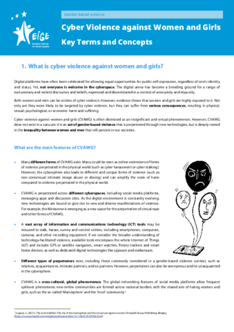 Cyber Violence against Women and Girls: Key Terms and Concepts