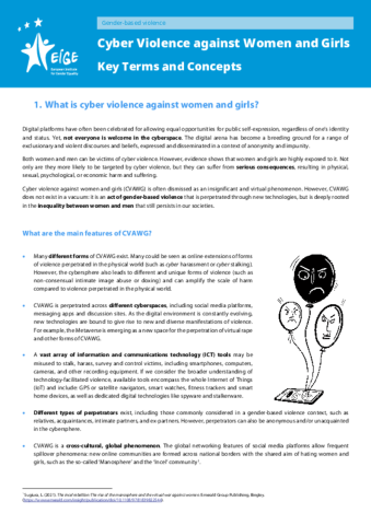 Cyber violence against women and girls