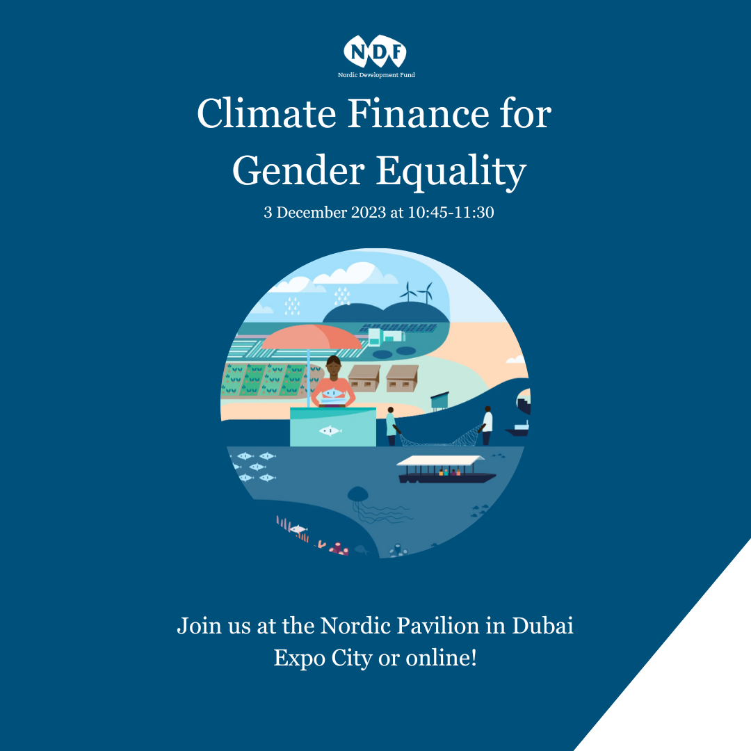 Climate Finance for Gender Equality