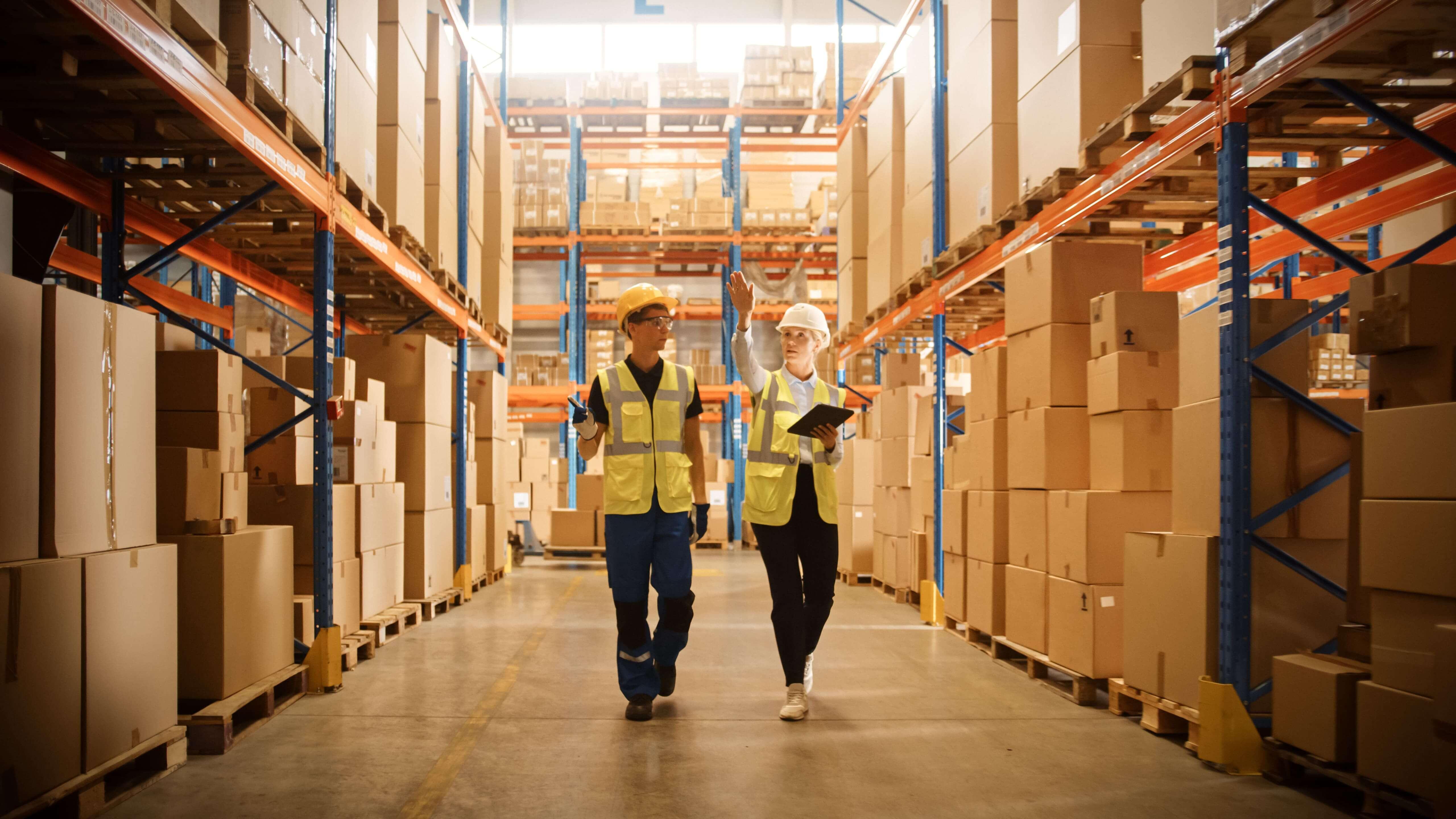 5 Best Back Braces for Warehouse Workers –