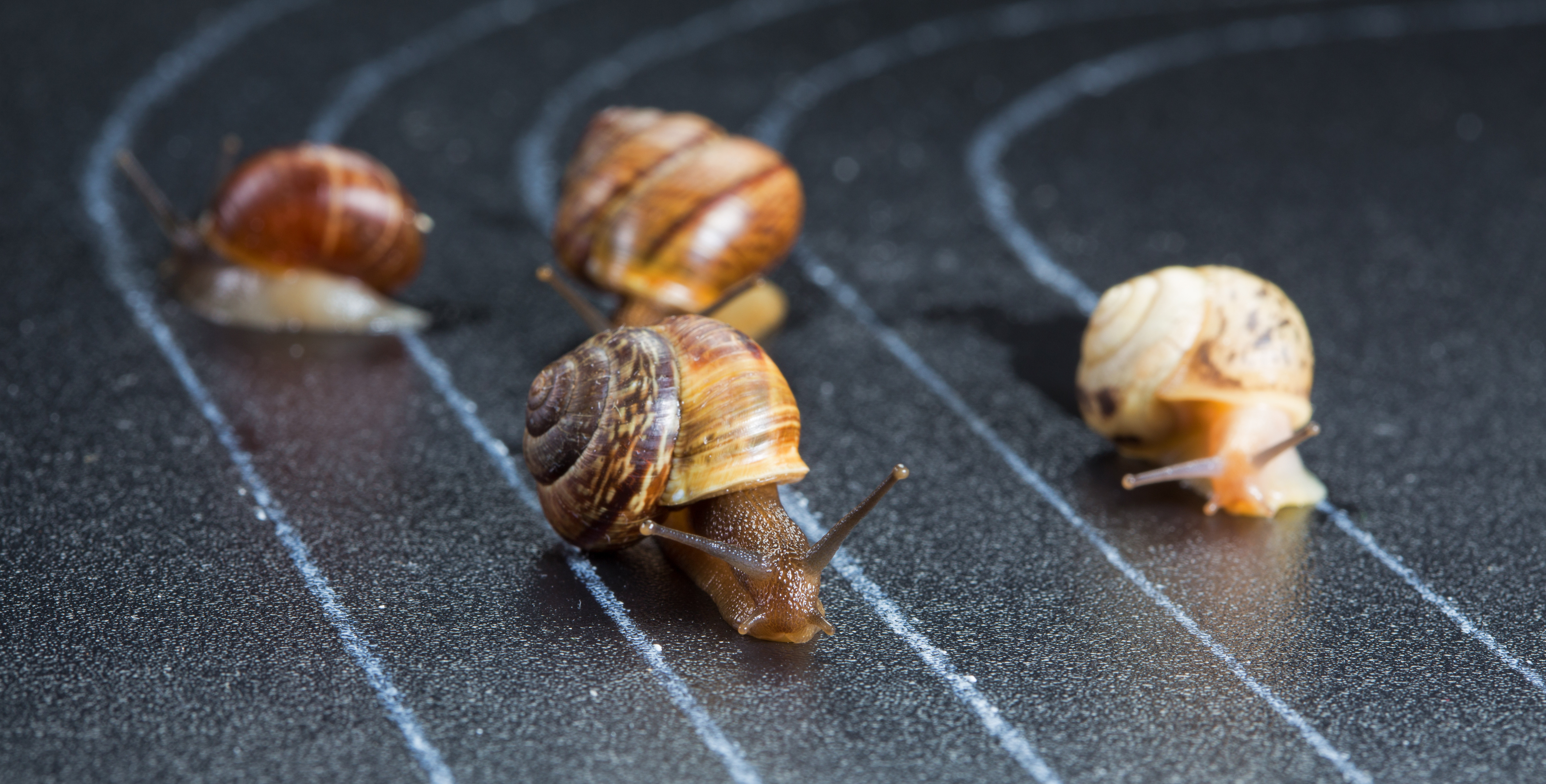 Gender Equality Index 2017: Progress at a snail’s pace Gender Equality Index 2017: Progress at a snail’s pace