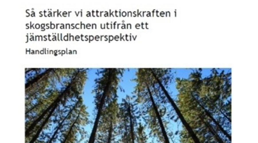 "gender equality in the forestry sector – a Swedish initiative pioneering sustainable change" guideline cover